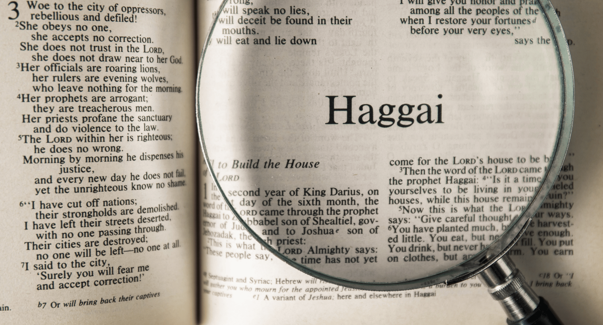 Book of Haggai