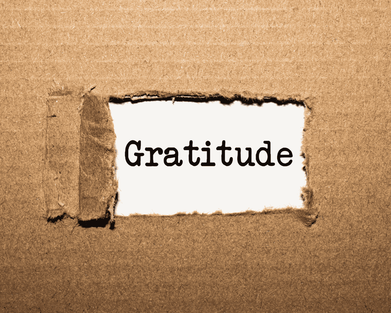 Gratitude